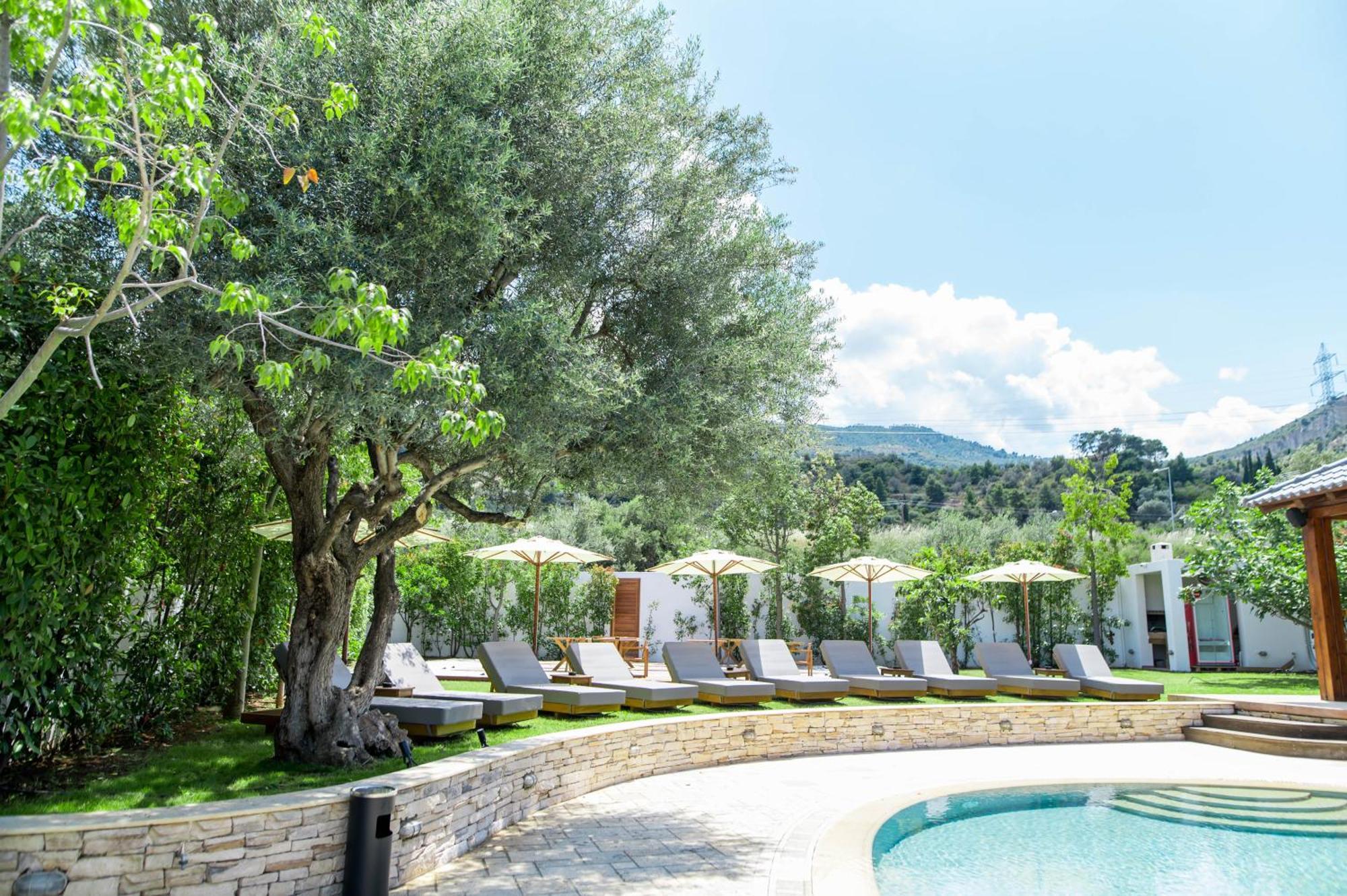 Alissachni Seaside Hotel Δερβένι Εξωτερικό φωτογραφία
